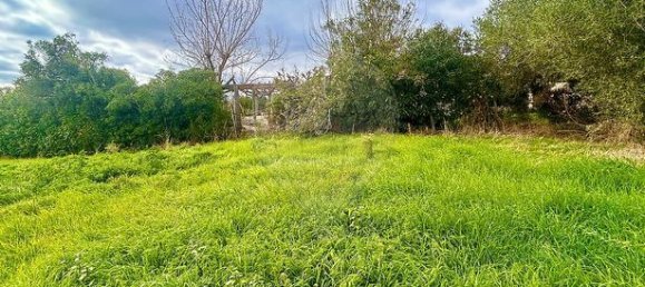 1151m² Land in Pietroso, France No. 240852 3