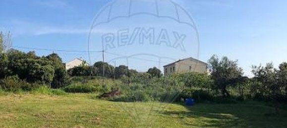 1151m² Land in Pietroso, France No. 240852 2