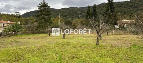 6962m² Land in Ceret, France No. 106340 8