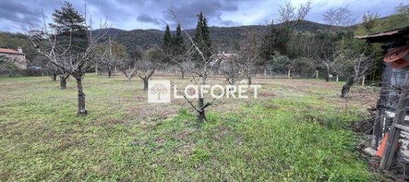 6962m² Land in Ceret, France No. 106340 3