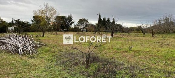6962m² Land in Ceret, France No. 106340 9