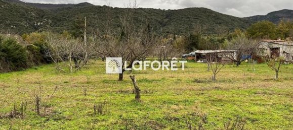 6962m² Land in Ceret, France No. 106340 4