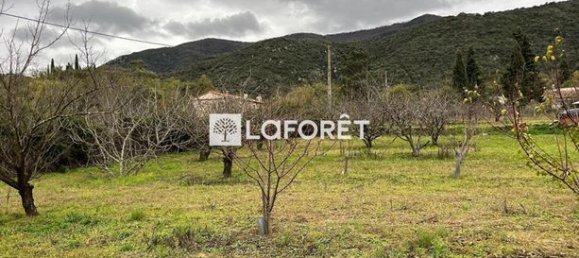 6962m² Land in Ceret, France No. 106340 6