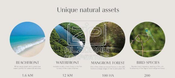 Studio in Al Zorah, UAE No. 50783 19