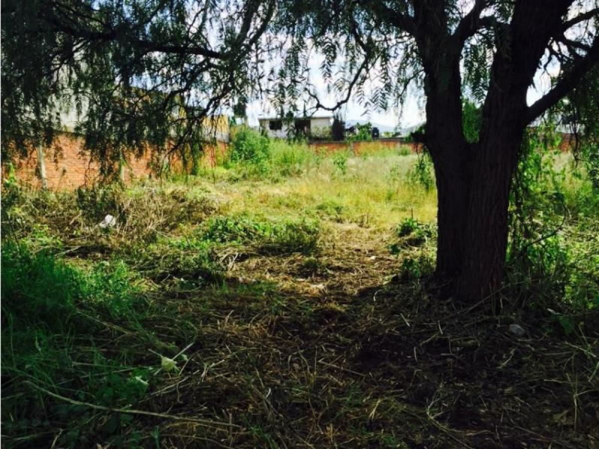  Land in Tepotzotlan, Mexico No. 206571