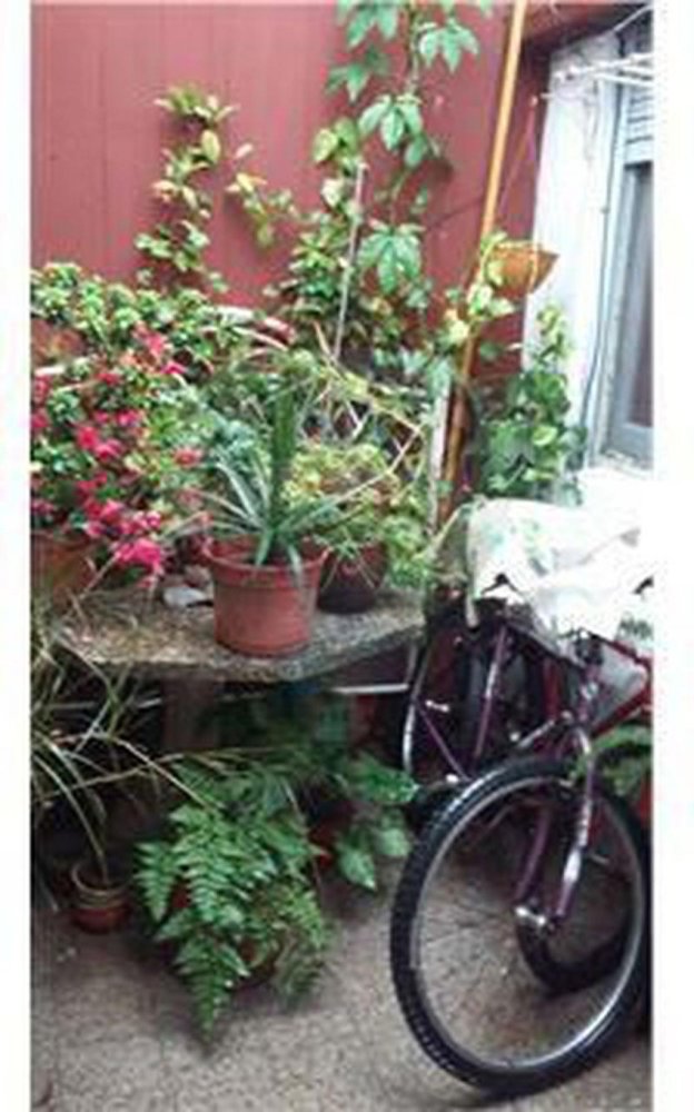 2 bedrooms House in Campo Creado, Argentina No. 17307