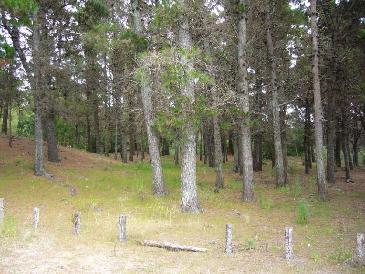  Land in Buenos Aires, Argentina No. 121579