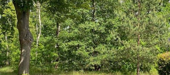  Land in Oberhavel, Germany No. 320919 3