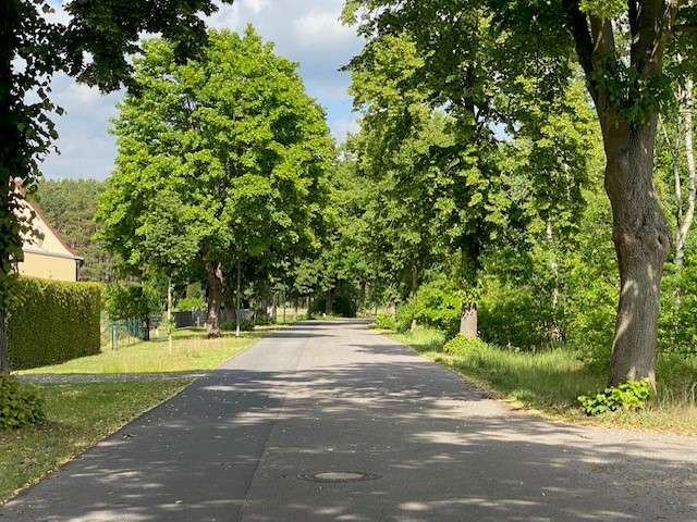  Land in Oberhavel, Germany No. 320919