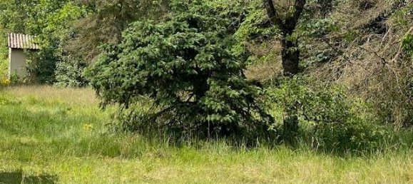  Land in Oberhavel, Germany No. 320919 4