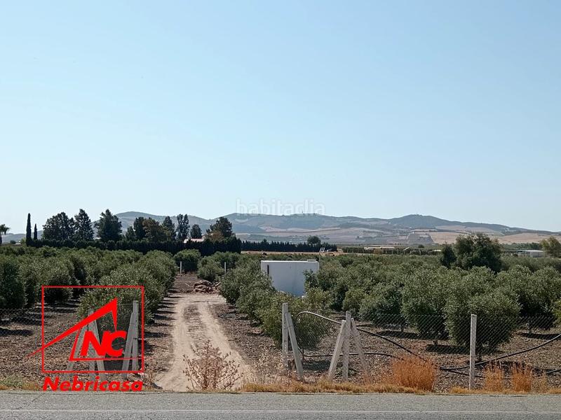 Земельный участок 5000м² в Андалусия, Испания № 135066