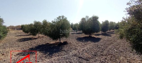 Земельный участок 5000м² в Андалусия, Испания № 135066 5