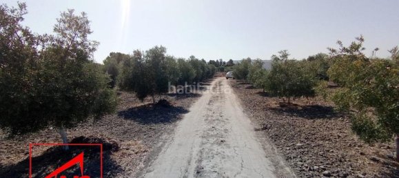 Земельный участок 5000м² в Андалусия, Испания № 135066 6