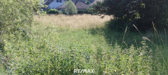 873m² Land in Heiligenkreuz, Austria No. 154496 2