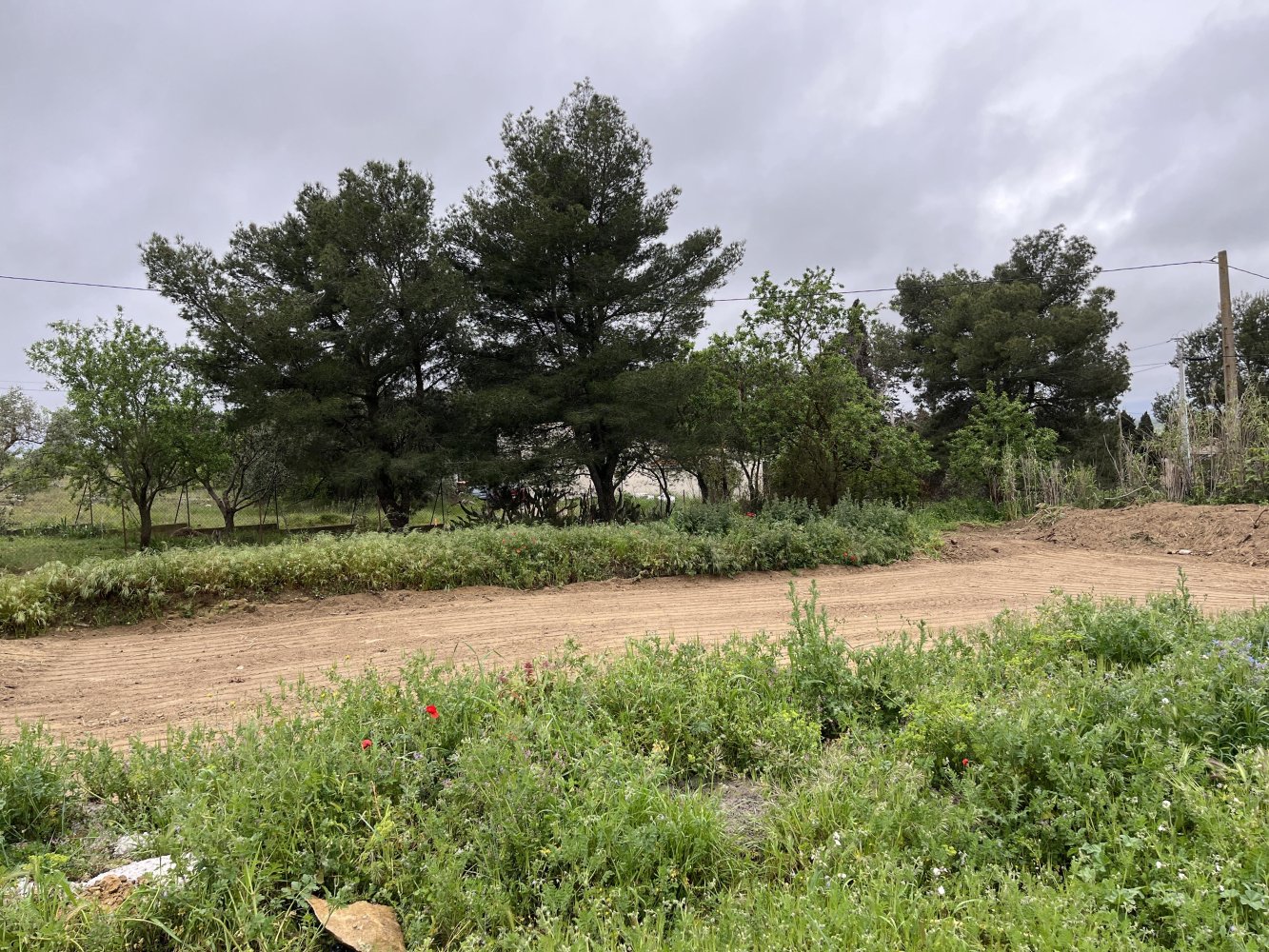 Terreno en Lespignan, France No. 225113