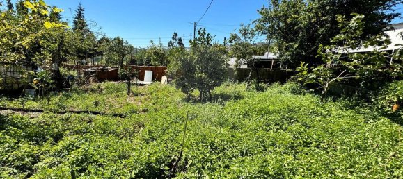 3 bedrooms House in Casal de Cambra, Portugal No. 47172 33