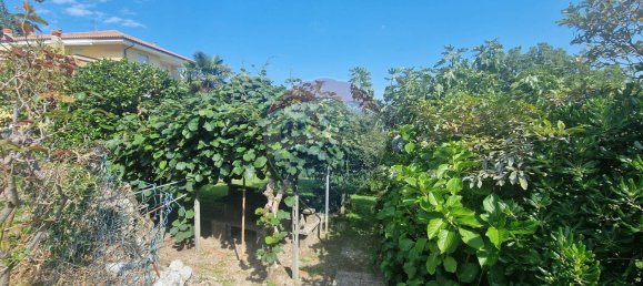 4 rooms Apartment in Pella, Italy No. 297045 45