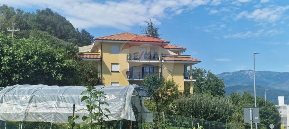 4 rooms Apartment in Pella, Italy No. 297045 11