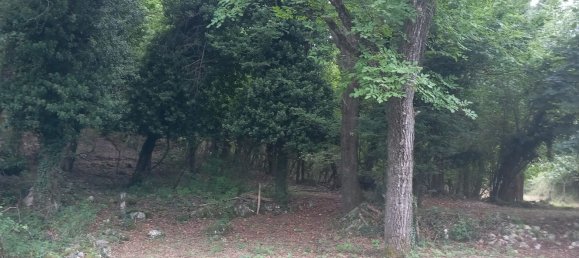 Casa de 4 divisões em Pretoro, Italy N.º 205255 5