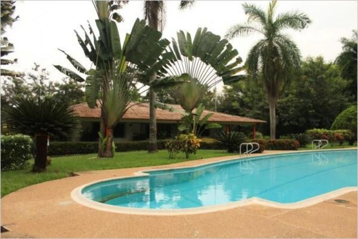 5 Schlafzimmer Haus in Tolima, Colombia, Nr. 3972