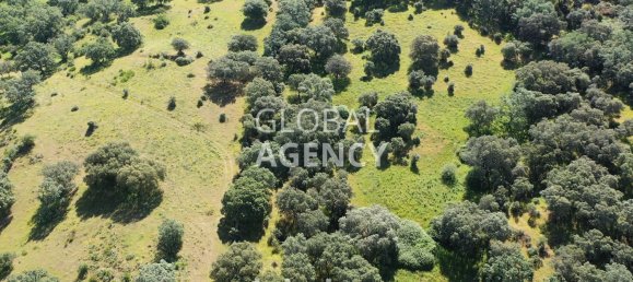 Terreno en Cáceres, Spain 2180000 m² No. 189348 31