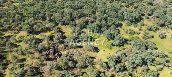 Terreno en Cáceres, Spain 2180000 m² No. 189348 32