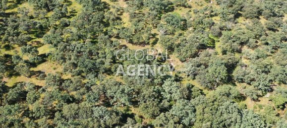 Terreno en Cáceres, Spain 2180000 m² No. 189348 33