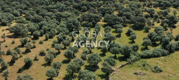 Terreno en Cáceres, Spain 2180000 m² No. 189348 14