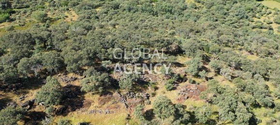 Terreno en Cáceres, Spain 2180000 m² No. 189348 34