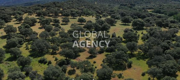 Terreno en Cáceres, Spain 2180000 m² No. 189348 24