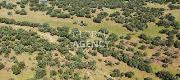 Terreno en Cáceres, Spain 2180000 m² No. 189348 37