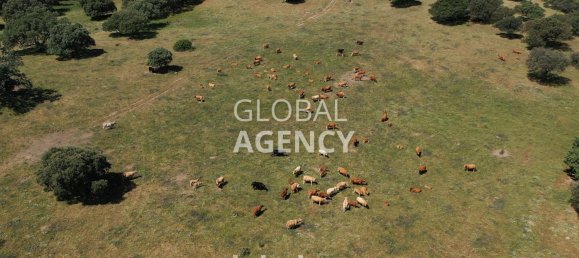 Terreno en Cáceres, Spain 2180000 m² No. 189348 38