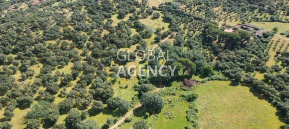 Terreno en Cáceres, Spain 2180000 m² No. 189348 36