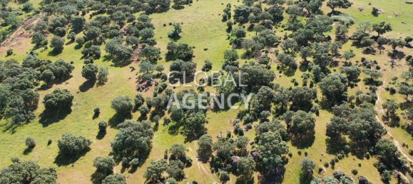 Terreno en Cáceres, Spain 2180000 m² No. 189348 15