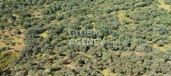 Terreno en Cáceres, Spain 2180000 m² No. 189348 35