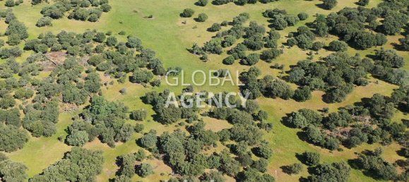 Terreno en Cáceres, Spain 2180000 m² No. 189348 30