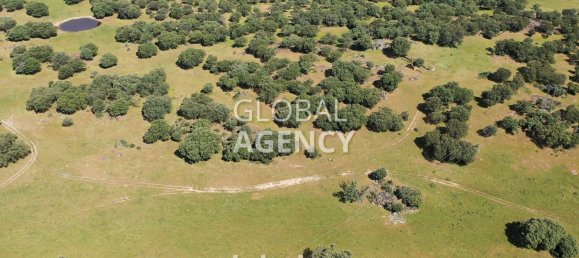 Terreno en Cáceres, Spain 2180000 m² No. 189348 29