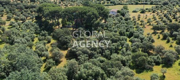 Terreno en Cáceres, Spain 2180000 m² No. 189348 12