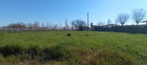 7 rooms House in Campo San Martino, Italy No. 36886 8