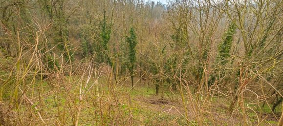 2 bedrooms House in Cherasco, Italy No. 89263 19