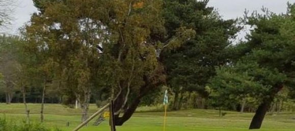 Casa T3 em Le Touquet-Paris-Plage, France N.º 231709 2