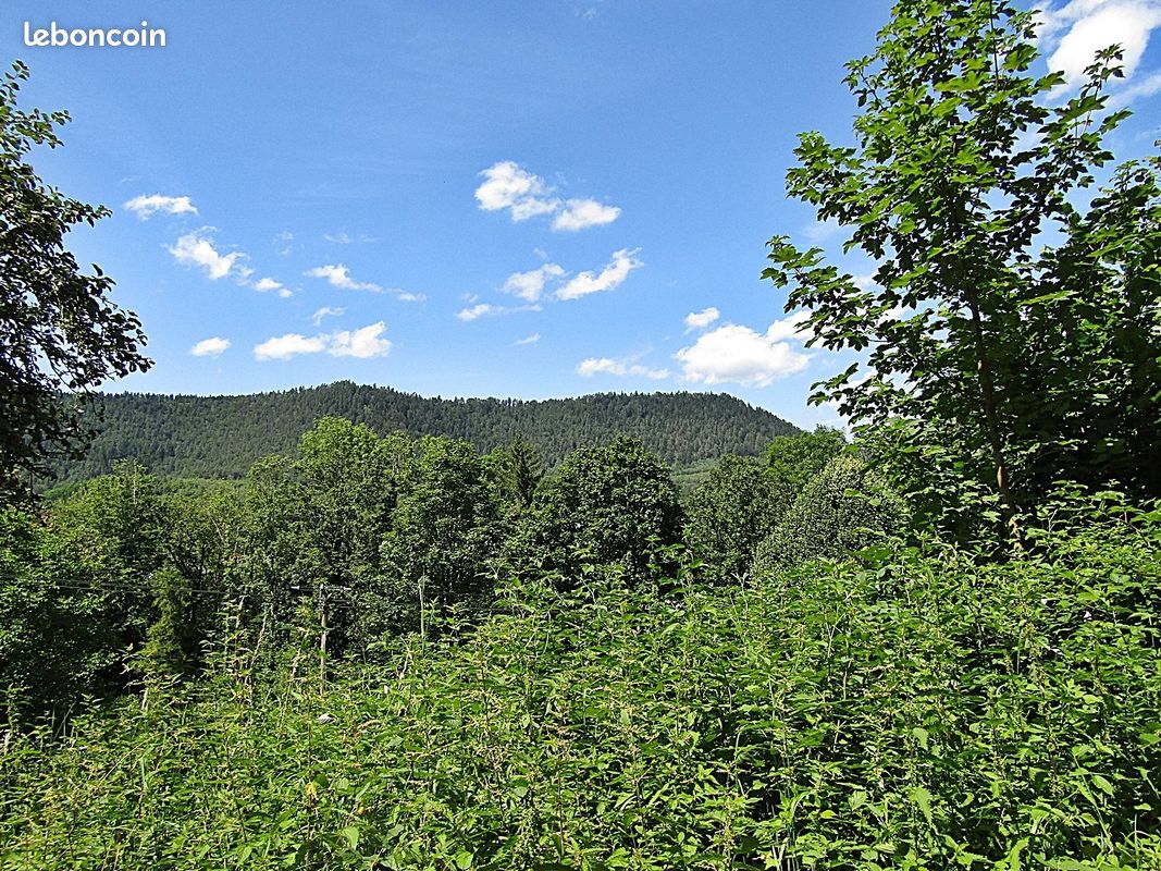 Casa de 2 habitaciónes en Senones, France No. 257335