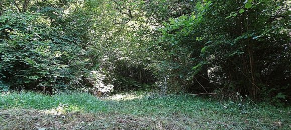 Casa de 2 habitaciónes en Senones, France No. 257335 5