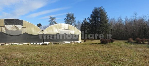 40000m² Land in Varallo Pombia, Italy No. 49738 8