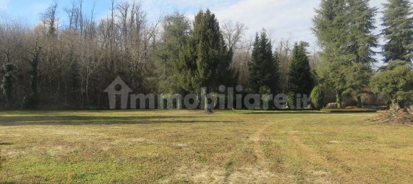 40000m² Land in Varallo Pombia, Italy No. 49738 6