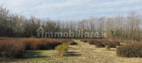 40000m² Land in Varallo Pombia, Italy No. 49738 11