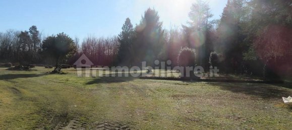 40000m² Land in Varallo Pombia, Italy No. 49738 10
