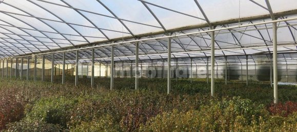 40000m² Land in Varallo Pombia, Italy No. 49738 12