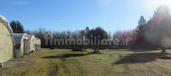 40000m² Land in Varallo Pombia, Italy No. 49738 9