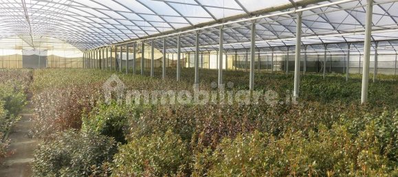 40000m² Land in Varallo Pombia, Italy No. 49738 14